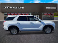 2023 Hyundai Palisade SE