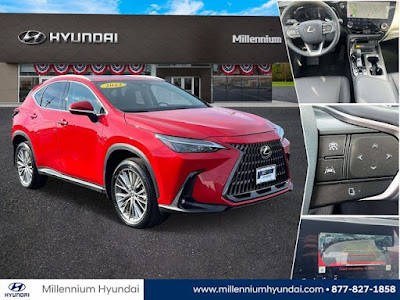 2023 Lexus NX